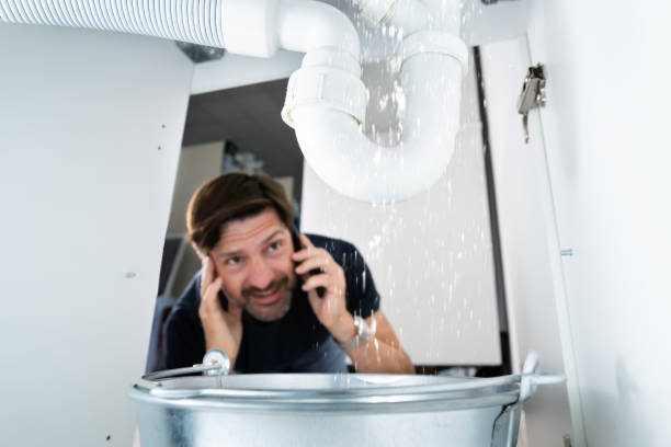 Best Sprinkler Systems  in South Bloomfield, OH