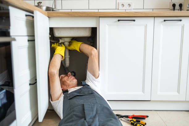 Best Drain Cleaning Services  in South Bloomfield, OH